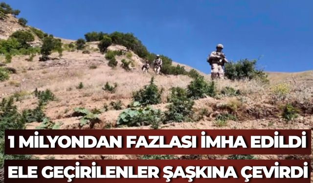 18 İlde Düzenlenen Narkotik Operasyonlarında 80 Şüpheli Yakalandı