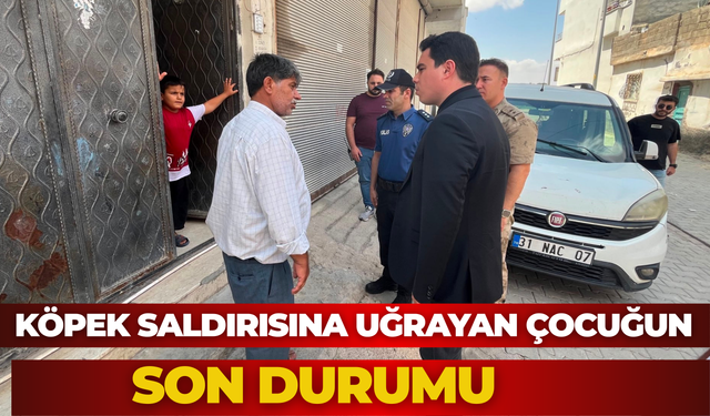 Şanlıurfa’da Köpek Saldırısına Uğrayan Çocuğun Son Durumu