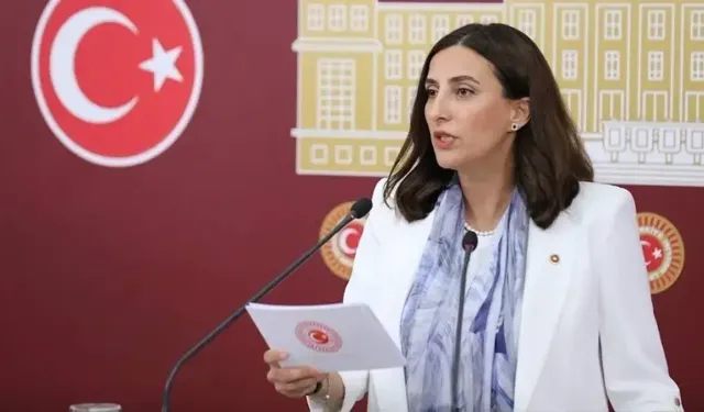 Evrim Rızvanoğlu Aslen Nereli ve Babası Ne İş Yapıyor? CHP İstanbul Milletvekili Evrim Rızvanoğlu’nun Hayatı
