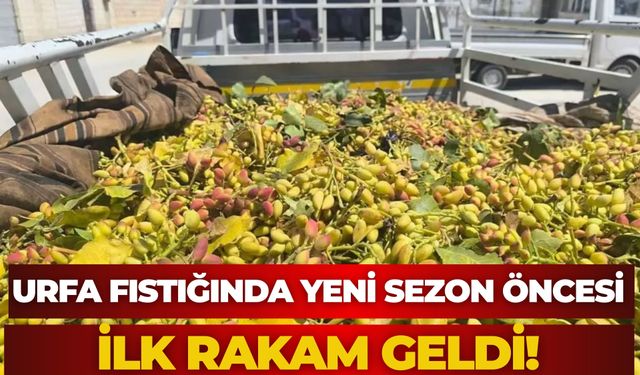 Suriye’de Boz Fıstık 160 TL’den Satıldı!