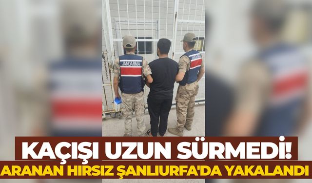 Kaçışı Uzun Sürmedi! Aranan Hırsız Şanlıurfa'da Yakalandı