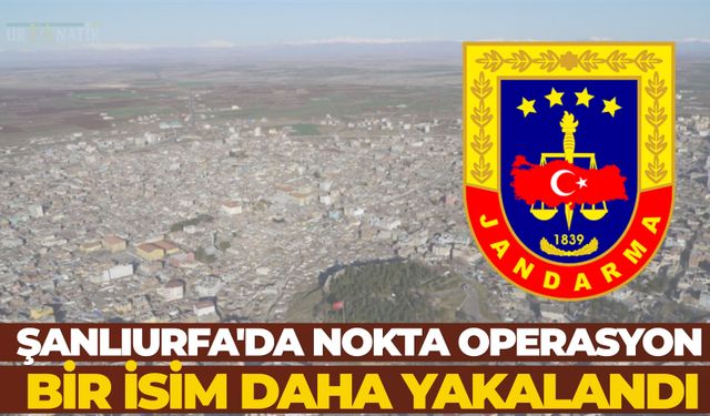 Şanlıurfa'da Nokta Operasyon: Bir İsim Daha Yakalandı