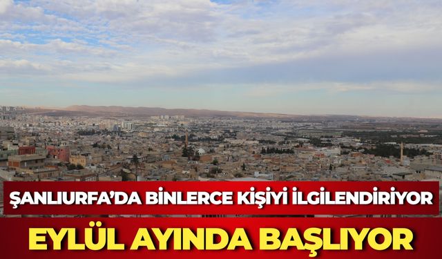 Ticaret Bakanlığı'ndan Engelli Araç İthalatında Yeni Dönem: Randevu Sistemi Başlıyor
