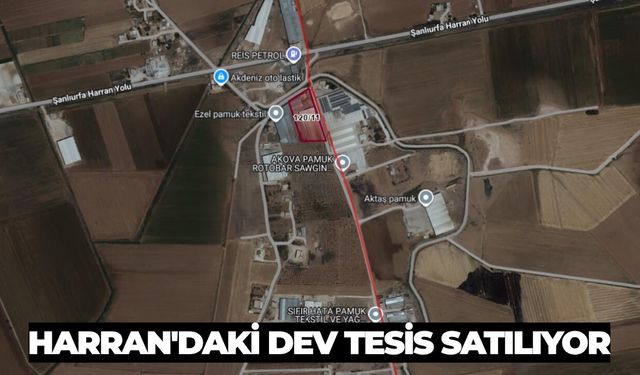 Harran'da Çırçır ve Depolama Tesisi İcradan Satışa Çıktı