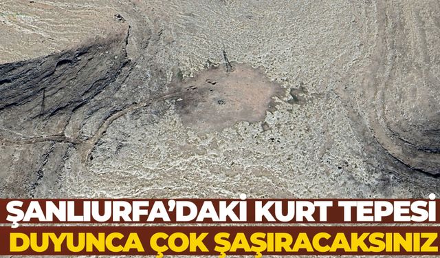 Göbeklitepe’ye Benzer İzler Şanlıurfa’da! Kurt Tepesi Dikkat Çekiyor