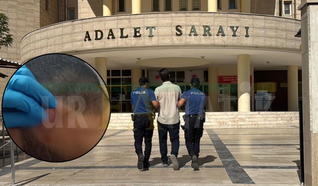 Şanlıurfa Eğitim ve Araştırma Hastanesi'nde Hemşireye Saldıran Hasta Yakını Tutuklandı