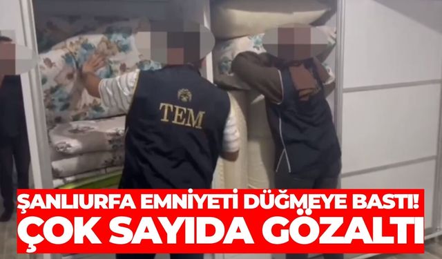 Şanlıurfa Emniyeti Düğmeye Bastı! Çok Sayıda Gözaltı