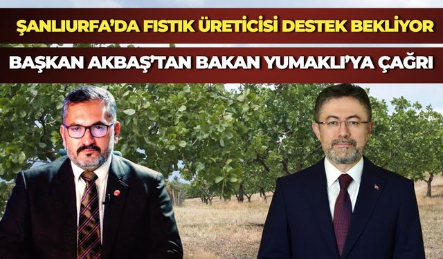 Şanlıurfa Fıstık Üreticileri Birliği'nden Bakan Yumaklı'ya Destek Çağrısı