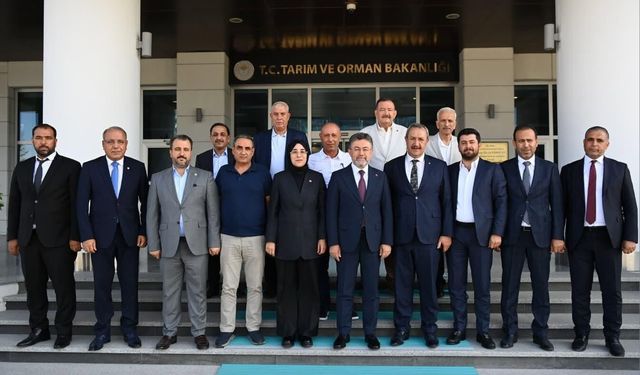 Ankara'dan Şanlıurfa'ya Müjde Çıkar mı? Kritik Görüşme Gerçekleşti!