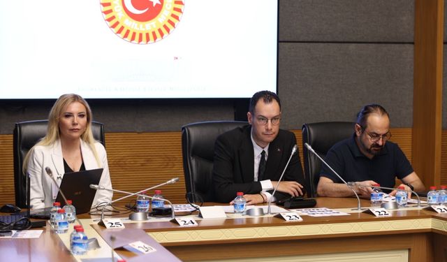 Şanlıurfa ve Kahramanmaraş Saldırıları Araştırılıyor