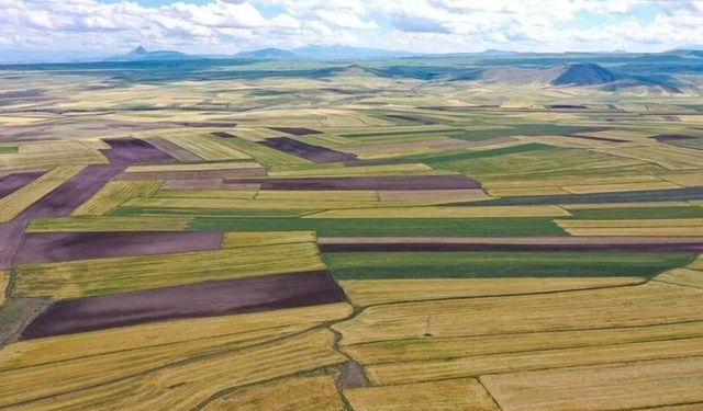Şanlıurfa’da 1.6 Milyon TL’lik Tarla Satışa Çıktı!
