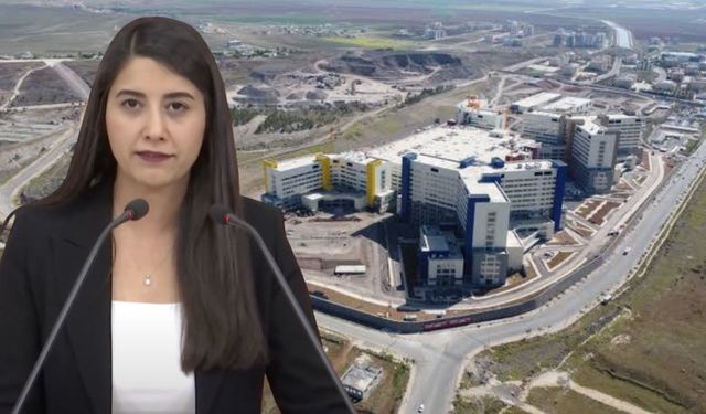 Şanlıurfa'da 400 Dönümlük DSİ Arazisinin Özelleştirme İdaresi'ne Devredileceği İddiası