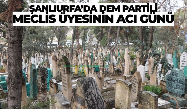 Şanlıurfa’da DEM Partili Meclis Üyesinin Acı Günü