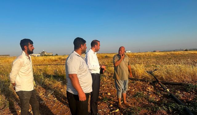Şanlıurfa'da Dönüm Başına 7 Bin 20 TL Tepki Topladı!