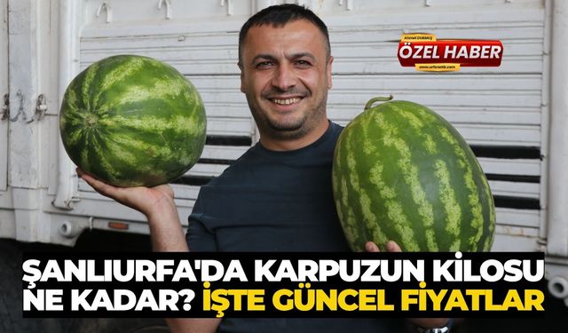 Şanlıurfa'da Karpuzun Kilosu Ne Kadar? İşte Güncel Fiyatlar