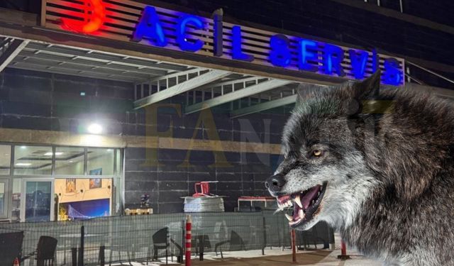 Şanlıurfa’da Kurt Saldırısına Uğrayan Yaşlı Adam Yaralandı