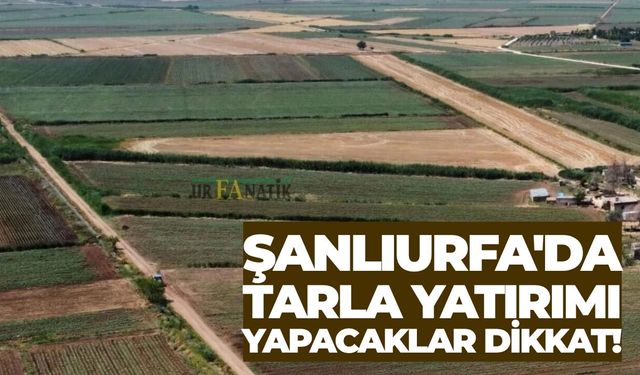 Şanlıurfa'da Tarla Yatırımı Yapacaklar Dikkat!