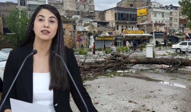 Şanlıurfa’daki Afetzedelere Verileceği Açıklanan 50 Milyon TL’lik Hibe Kimlere Verildi?
