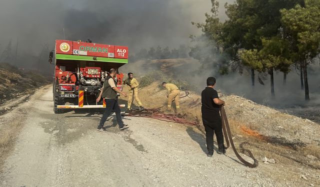 Şanlıurfa’daki Yangın Sonrası Büyükşehir ve Orman Bölge Müdürlüğü Açıklamada Bulundu