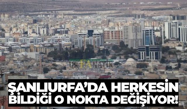 Şanlıurfa’nın Asırlık Zeytin Ağacı İçin Düğmeye Basıldı!