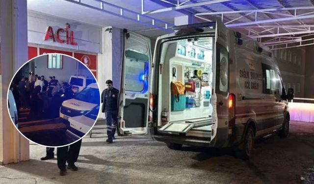 Şanlıurfa'da Akrabalar Birbirine Girdi: Silahlar, Taşlar ve Sopalar Konuştu