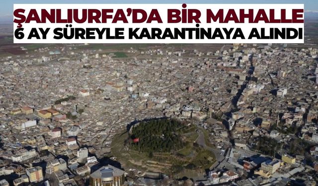 Siverek'te Kuduz Vakası: Mahalle 6 Ay Karantinada
