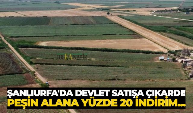 Suruç'ta Hazine Arazisi Satışa Çıktı