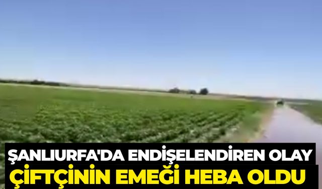 Şuruç’ta Sulama Hattı Patladı: Tarım Arazileri Sular Altında Kaldı