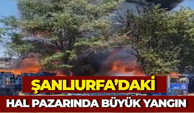 Viranşehir Yeni Hal Pazarında Yangın