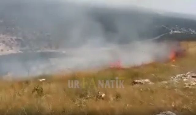 Şanlıurfa’nın Birecik İlçesinde Korkutan Yangın: Alevler Ormanlık Alana Sıçradı