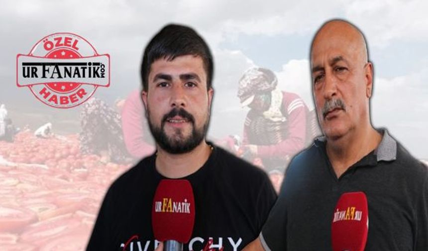 Şanlıurfa'da kış aylarının vazgeçilmezi!