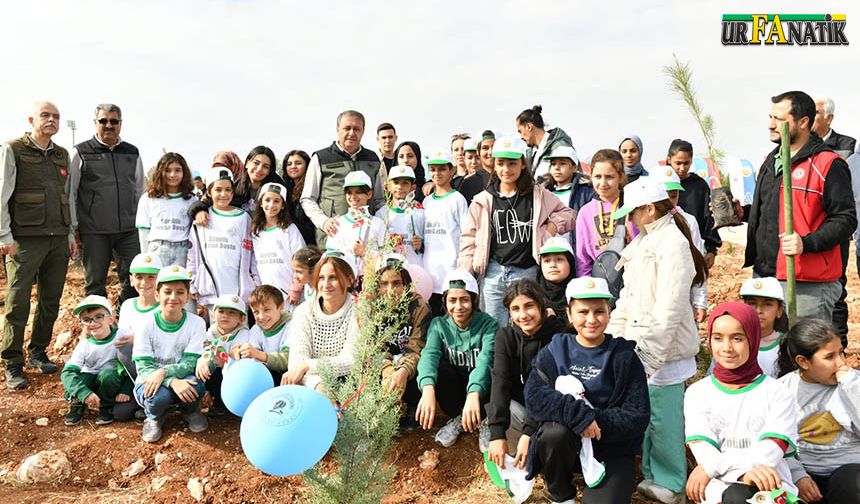 Şanlıurfa’da milli ağaçlandırma günü etkinliğine yoğun ilgi