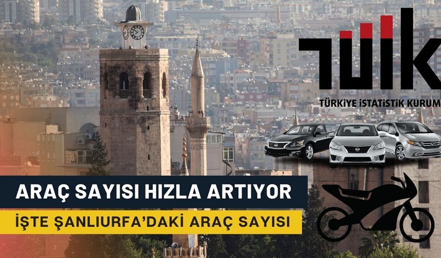 Şanlıurfa'da Ekim 2024 Motorlu Taşıt Sayısı Açıklandı