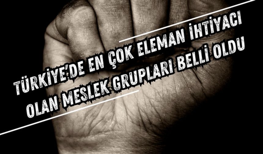 Türkiye’de En Çok Eleman İhtiyacı Olan Meslek Grupları Belli Oldu