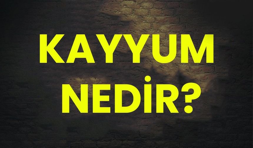 Kayyum nedir? Kayyum neden atanır?