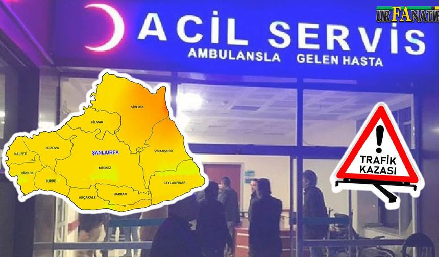 Viranşehir İlçesinde Zincirleme Trafik Kazası!