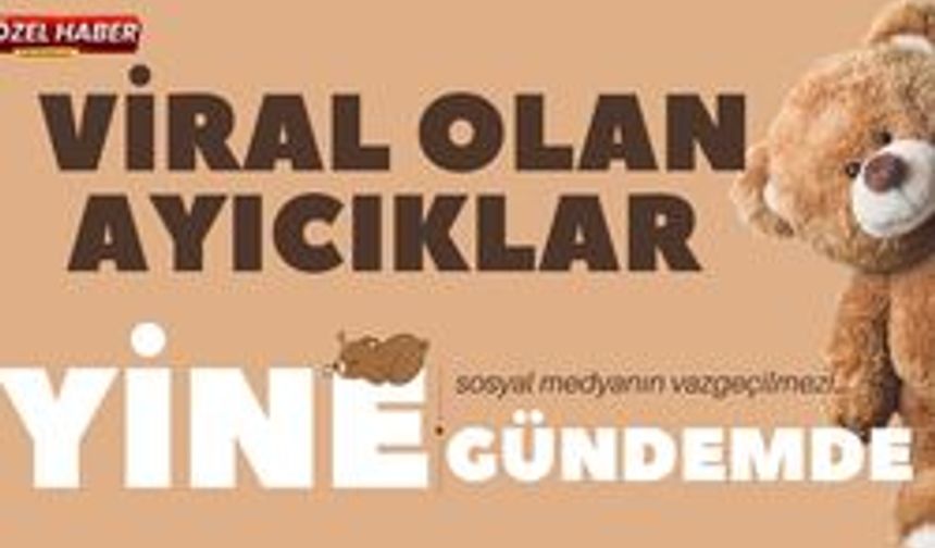 Viral Olan Ayıcıklar Yine Gündemde