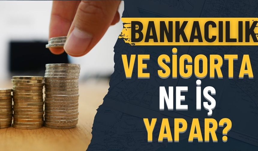 Bankacılık ve Sigortacılık Ne İş Yapar?