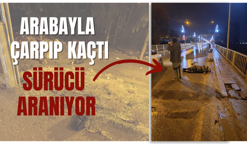 Şanlıurfa Birecik'te İki Kişiye Çarpan Sürücü Kaçtı