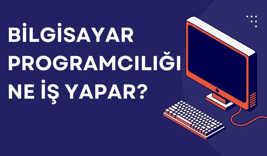 Bilgisayar Programcılığı Ne İş Yapar?