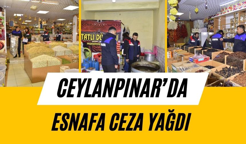 Ceylanpınar’da Gıda Denetimlerine Ceza Şoku!