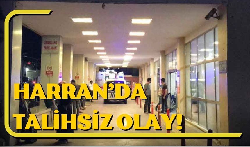 Harran İlçesinde Talihsiz Olay: Henüz Daha 11 Yaşında…