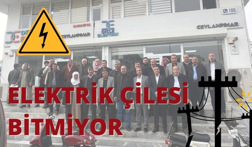 Ceylanpınarlı Muhtarlar Elektrik Kesintilerine Dert Yandı