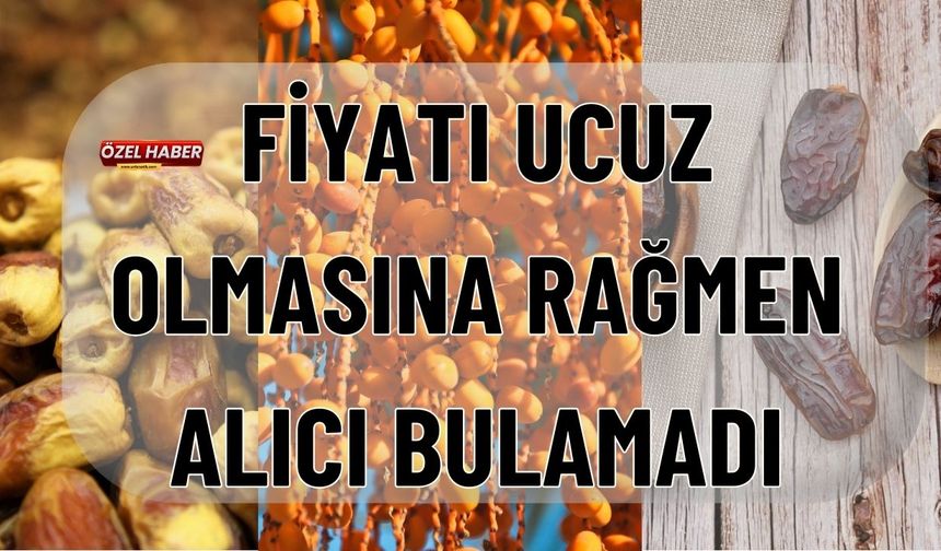 Fiyatı Ucuz Olmasına Rağmen Alıcı Bulamadı