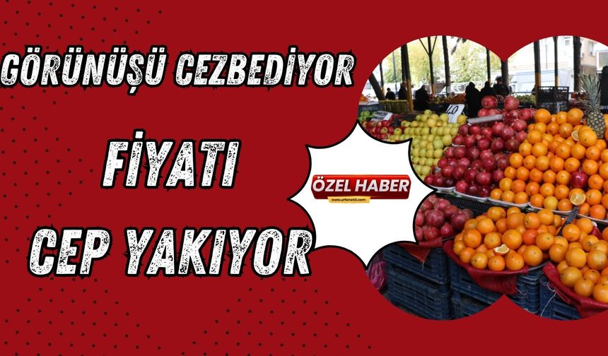 Görünüşü Cezbediyor: Fiyatı Cep Yakıyor