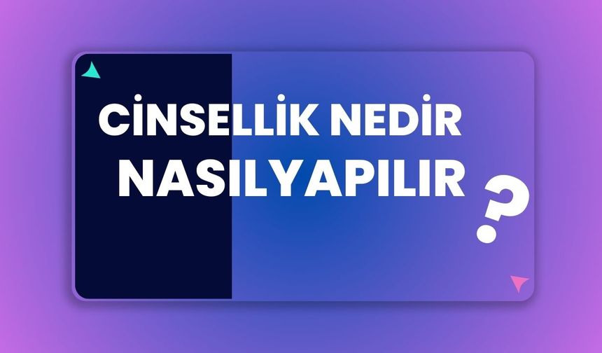 Cinsellik Nedir Nasıl Yapılır?