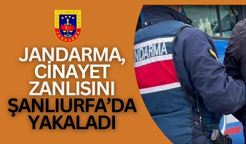 Jandarma, Kasten Öldürme Zanlısını Şanlıurfa’da Yakaladı