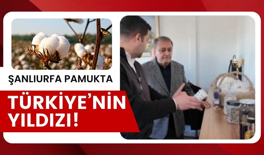 Şanlıurfa, Pamuk Üretiminde Tarih Yazıyor!