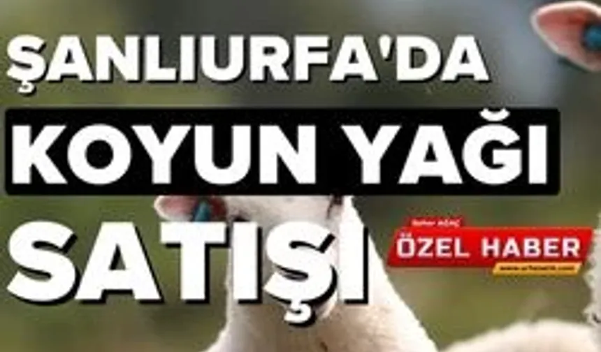 Şanlıurfa'da Koyun Yağı Satışı