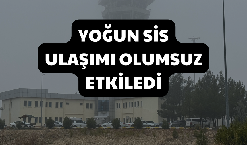 Şanlıurfa'da Yoğun Sis Ulaşımı Olumsuz Etkiledi